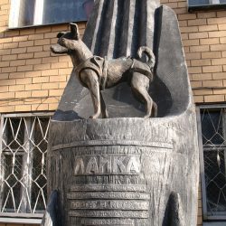 Памятник Лайке